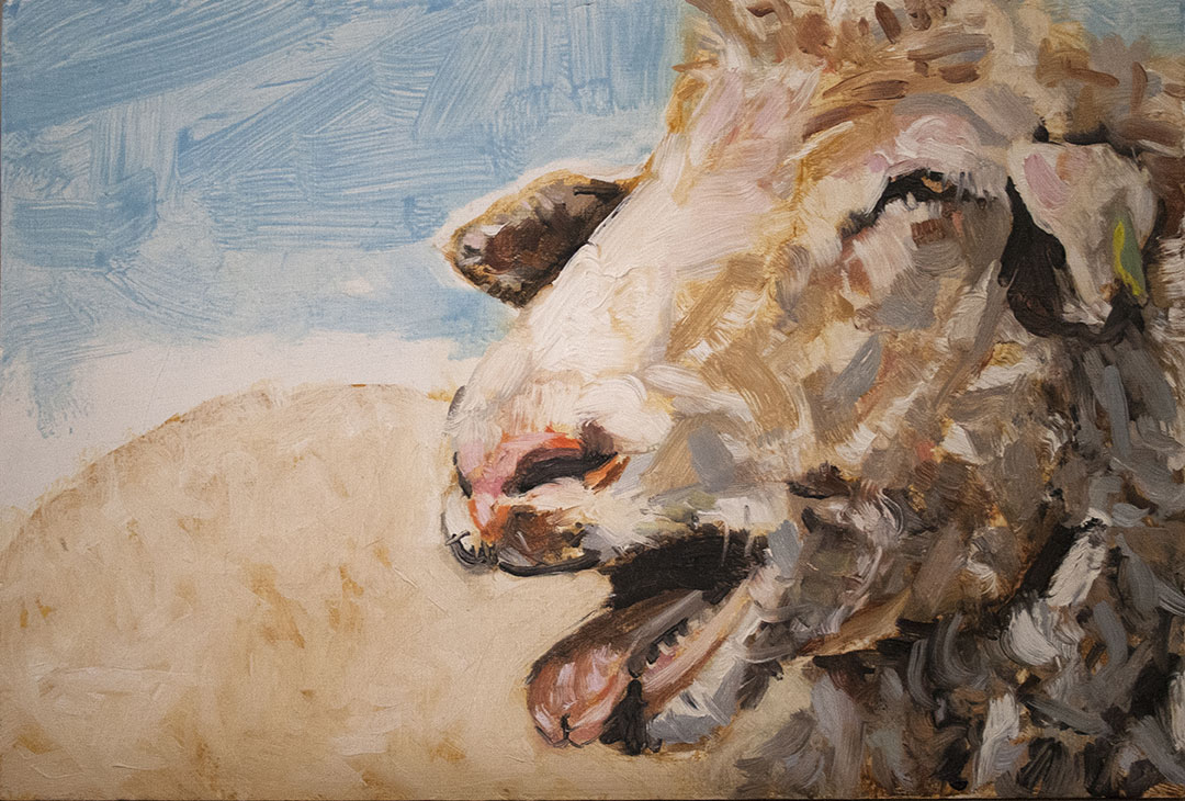 Fine Art feed my lambs Oil painting on board by James Lyle